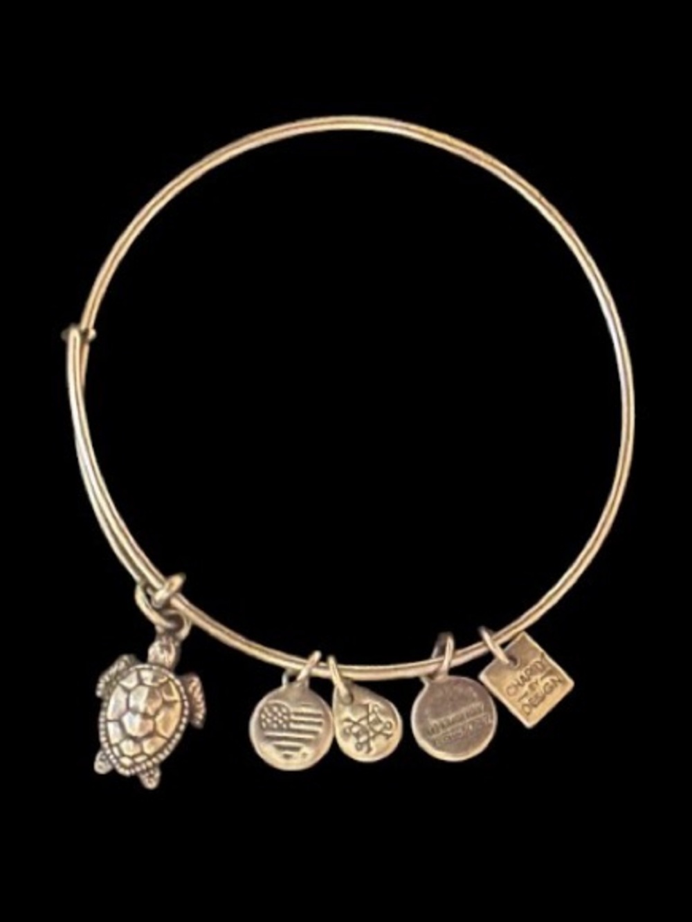 Alex and Ani Sea Turtle Charm Expandable Wire Bangle Bracelet Silver Tone